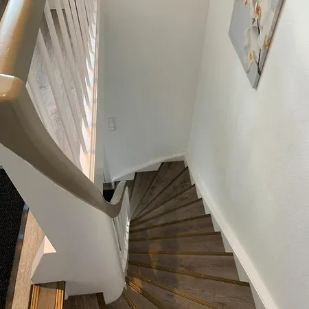 Daire Anja Steinhude